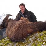 11 3/8, 8 year old bull Tahr
